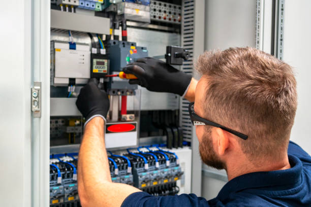 Best Electric Panel Repair  in Viroqua, WI