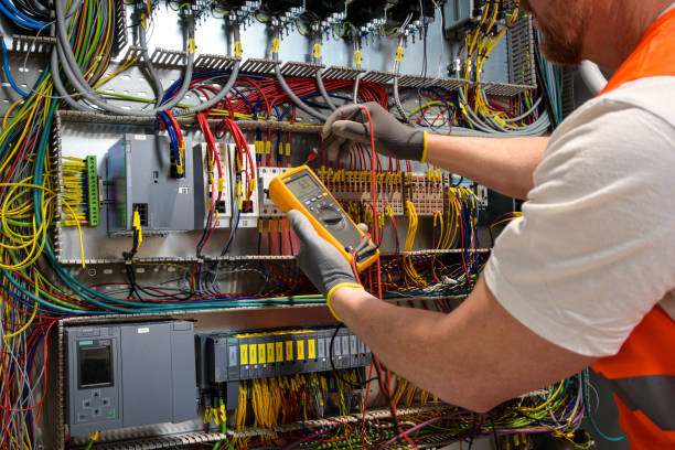 Best Electric Panel Repair  in Viroqua, WI